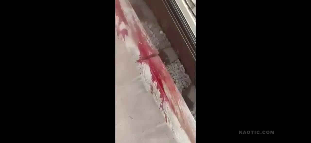 Preview for Indian tiktok nitwits make a . Seriously though, what is it with India and trains.! r DarwinAwards