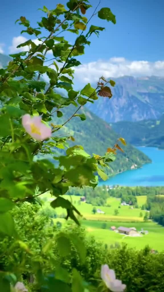 Preview for Switzerland # reels #swissnature #swissroll #switzerland