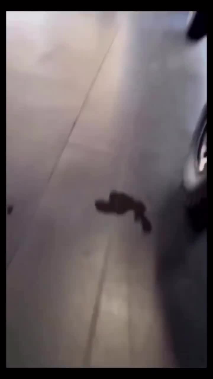 Preview for 73047567