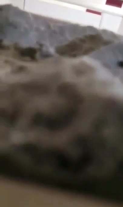 Preview for  Editor 20230915 022544