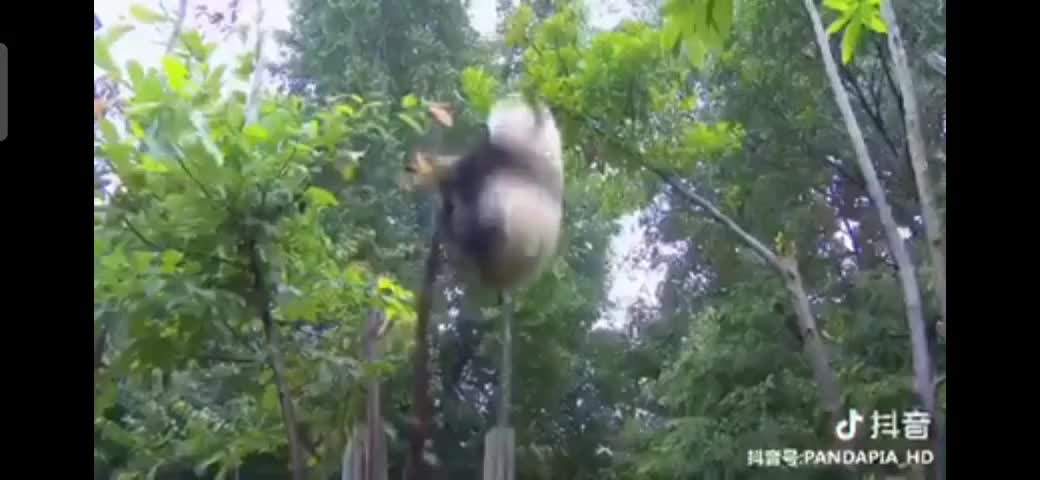 Preview for VID 20230919181718