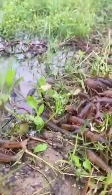 Preview for 61628356