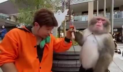 Preview for 26793278