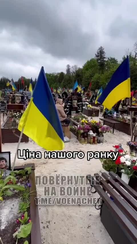 Preview for  2023 05 15 18 38 24