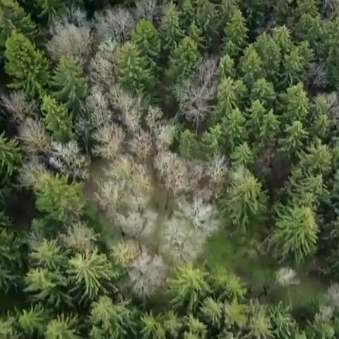 Preview for chúng ta đa số đều biết rằng, con người cần bổ sung canxi trong các bữa ăn để giúp xương và răng chắ…