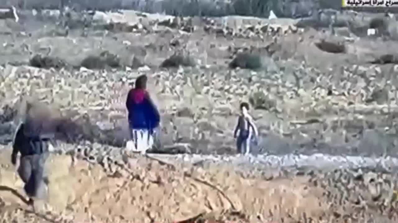 Preview for VID 20231012 100607 143