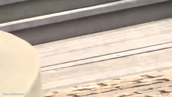 Preview for Video 29675