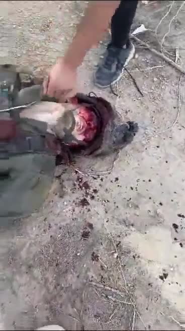 Preview for 65230d126f600