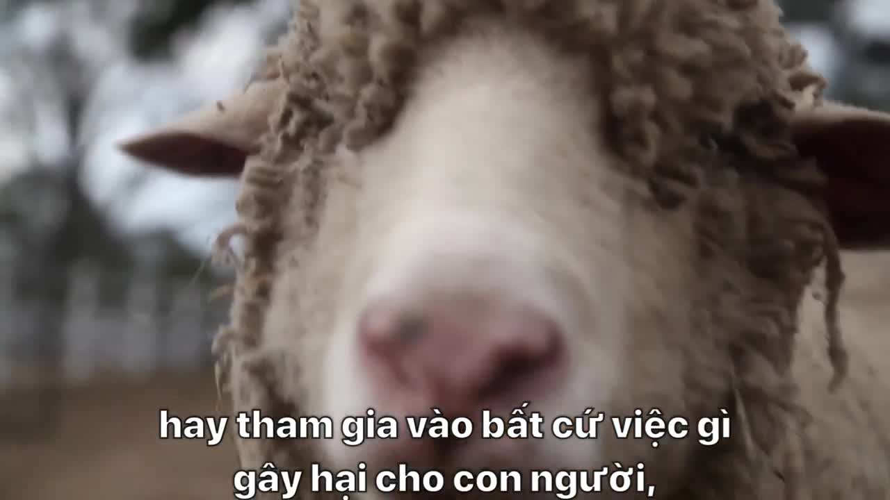 Preview for 15380382